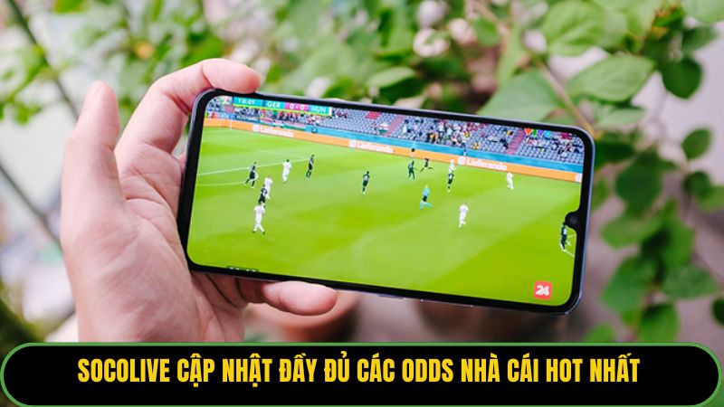 Socolive cập nhật đầy đủ các odds nhà cái hot nhất