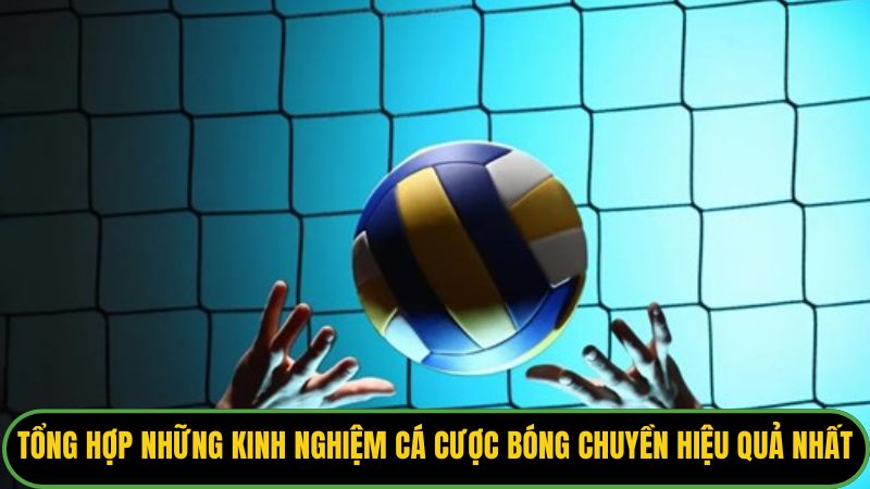 Tổng hợp những kinh nghiệm cá cược bóng chuyền hiệu quả nhất.