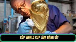 Tìm Hiểu Cúp World Cup Làm Bằng Gì Và Có Đặc Điểm Ra Sao?
