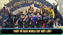 Pháp Vô Địch World Cup Mấy Lần? Cập Nhật Thành Tích Mới