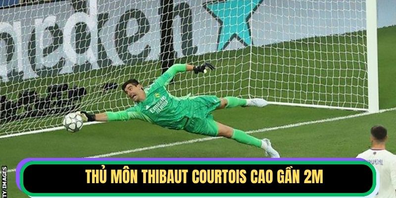 Thủ môn Thibaut Courtois cao gần 2m