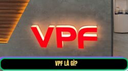 VPF Là Gì? Vai Trò Và Đóng Góp Đối Với Bóng Đá Việt Nam